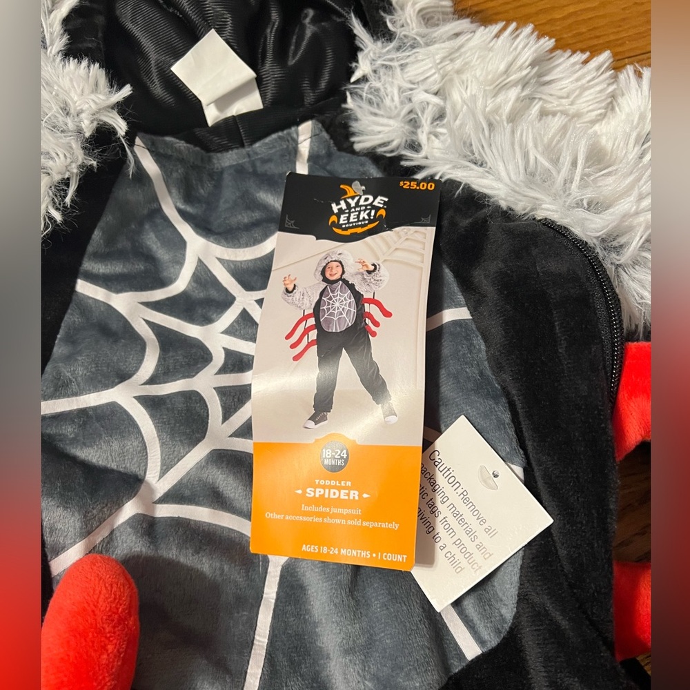 Spider - Picture 2 of 7